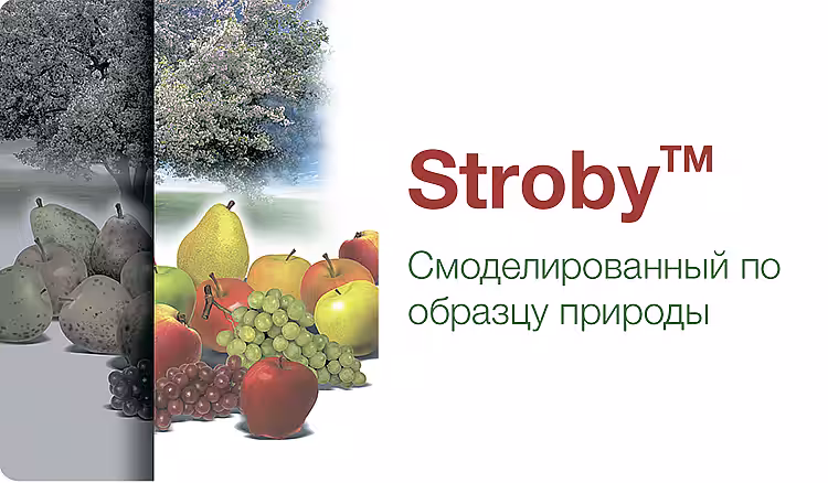 Stroby™ - описание и характеристика продукта