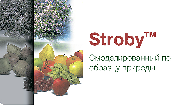 Stroby™ - описание и характеристика продукта