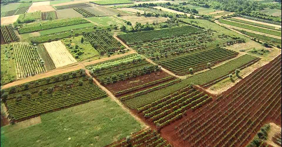 Croația le interzice străinilor să cumpere terenuri agricole