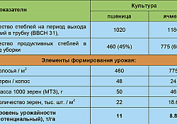 2017_02_tabela.jpg 2017_02_tabela.jpg
