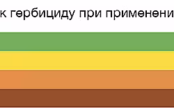 2017_03_Dianat-actiune2.jpg