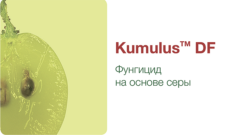 Kumulus™ DF - описание и характеристика продукта
