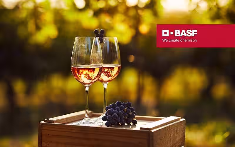De la podgorie, la masă – ce vin consumăm în funcție de meniu și cum îl servim corect