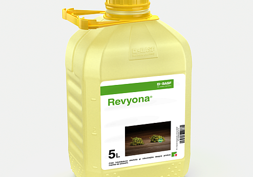 alt_Revyona – noul fungicid din grupa triazolilor cu eficacitate excelentă pentru noi standarde de calitate