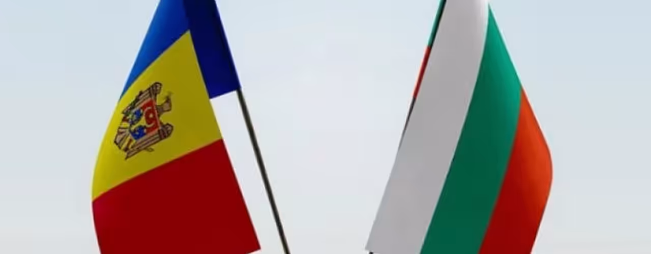 Exportul de semințe de floarea-soarelui pe piața Bulgariei: creștere de 275,6% în anul trecut