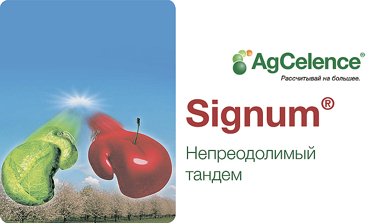 Signum® - описание и характеристика продукта