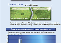2017_09_Caramba-3.jpg 2017_09_Caramba-3.jpg