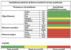 2020_06_Carenta-bor1.jpg
