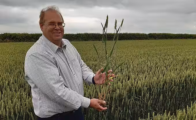 Un fermier britanic stabilește noi recorduri mondiale la producția de grâu și orz