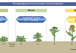 2017_09_Caramba-13.jpg 2017_09_Caramba-13.jpg