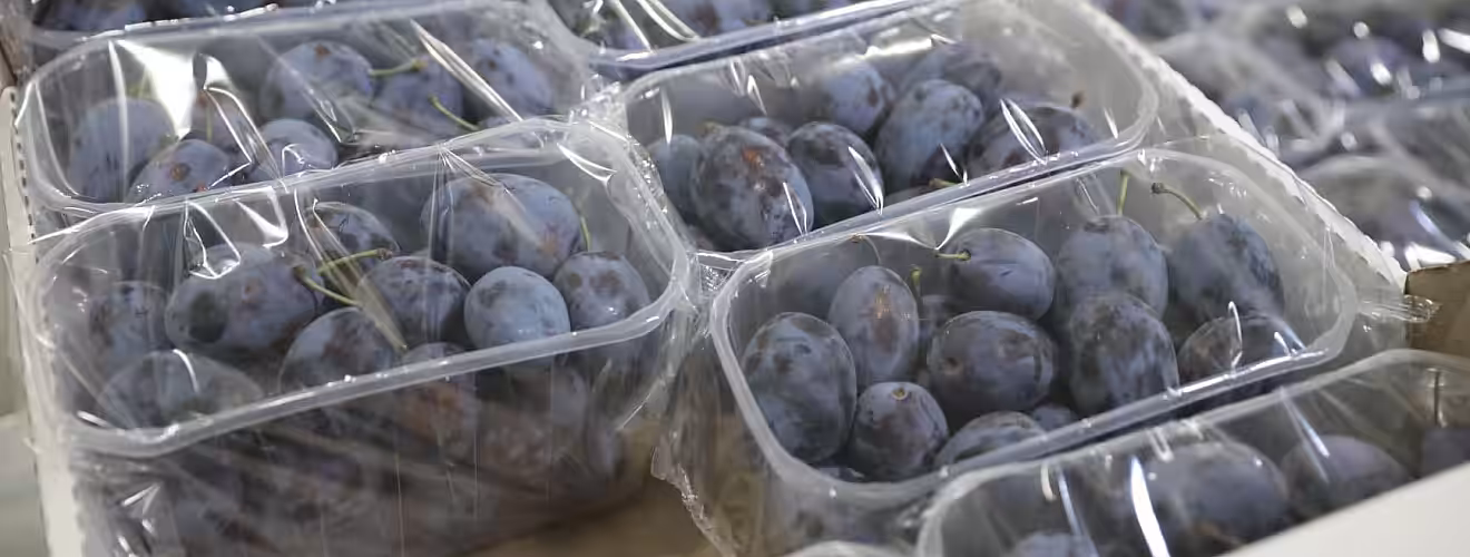 Primul echipament de ambalare flow pack a fructelor și strugurilor pentru export lansat la Costești cu suportul USAID