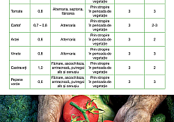 2020_05_Sercadis2.jpg