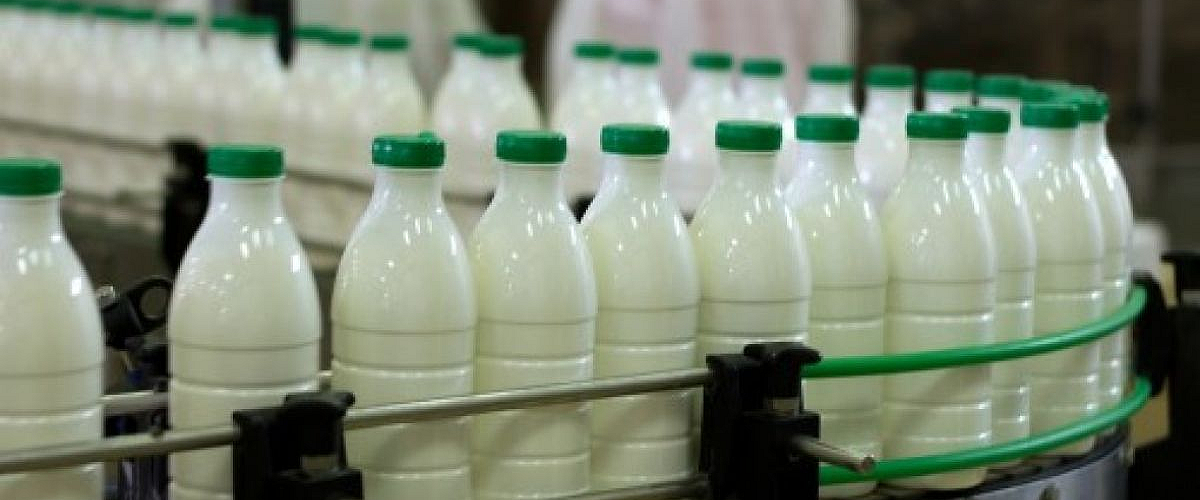 Studiu: În R. Moldova, cantitatea de lapte importat e de zece ori mai mare decât cel exportat