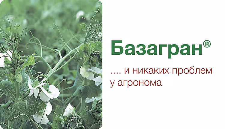 Basagran® - описание и характеристика продукта