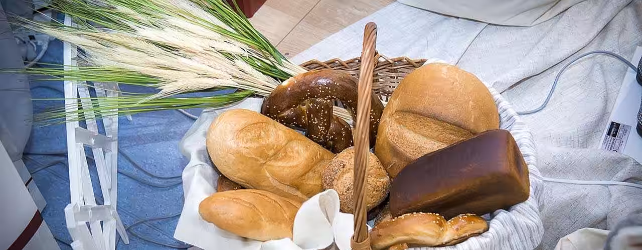 Preţurile alimentelor au urcat în august. Estimările privind producţia mondială de cereale au fost înrăutăţite – FAO
