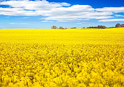 2020_07_invigor2-1165.jpg