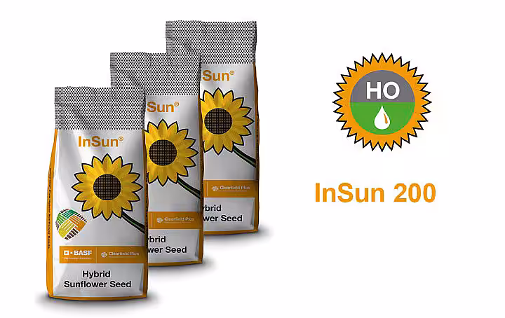 InSun 200 HO CLP – hibrid de floarea-soarelui Clearfield® Plus de la BASF