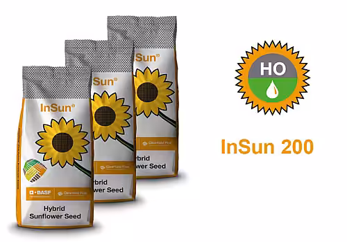 alt_InSun 200 HO CLP – hibrid de floarea-soarelui Clearfield® Plus de la BASF