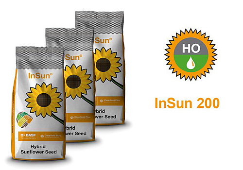 alt_InSun 200 HO CLP – hibrid de floarea-soarelui Clearfield® Plus de la BASF