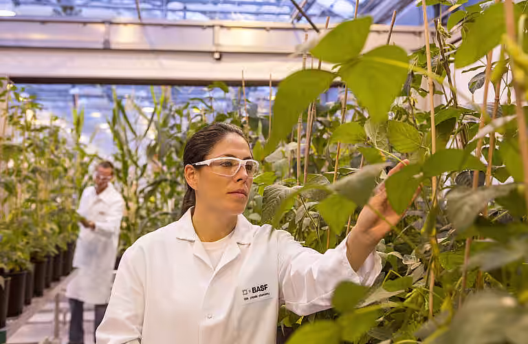 BASF propune soluții integrate inovatoare pentru a susține evoluția agriculturii