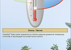 2017_09_Caramba-2.jpg 2017_09_Caramba-2.jpg