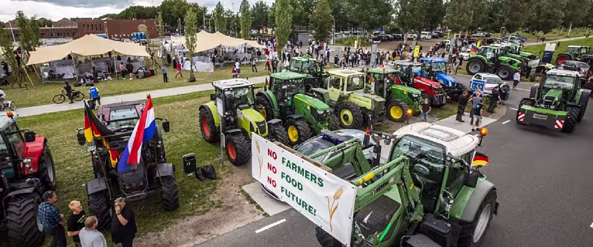 Olanda vrea să scadă cu 30% numărul animalelor de fermă, pentru a reduce poluarea. Fermieri au ieșit la proteste