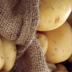 Базовая система защиты картофеля препаратами BASF