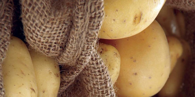 Базовая система защиты картофеля препаратами BASF