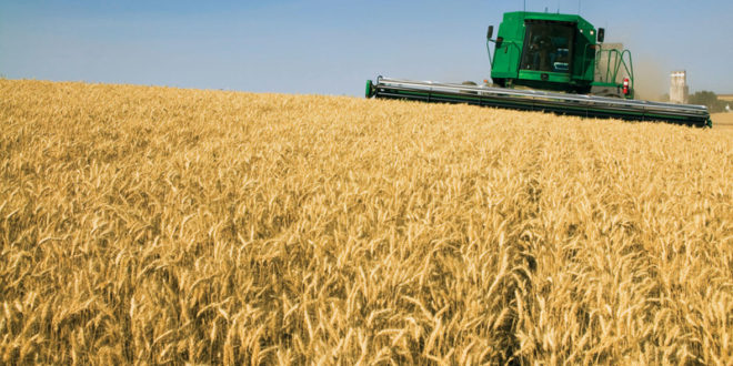 Рекордный уровень производства зерновых обеспечит рост предложения на мировых рынках в сезоне 2016–2017 годов