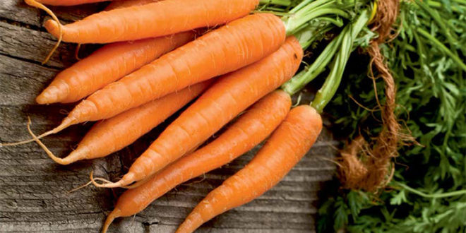 Базовая система защиты моркови препаратами BASF