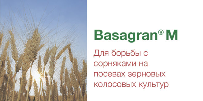 Basagran® М – описание и характеристика продукта
