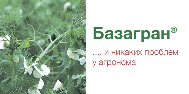 Basagran® – описание и характеристика продукта