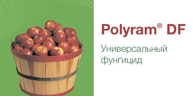 Polyram® DF – описание и характеристика продукта