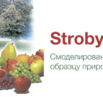 Stroby™ – описание и характеристика продукта