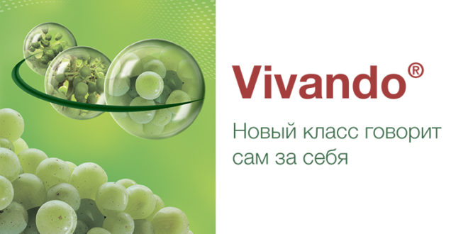 Vivando® – описание и характеристика продукта