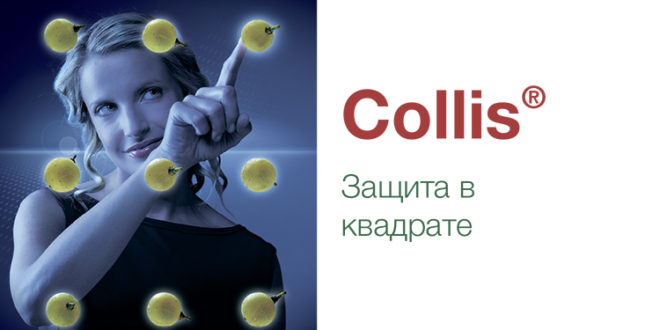 Collis® – описание и характеристика продукта