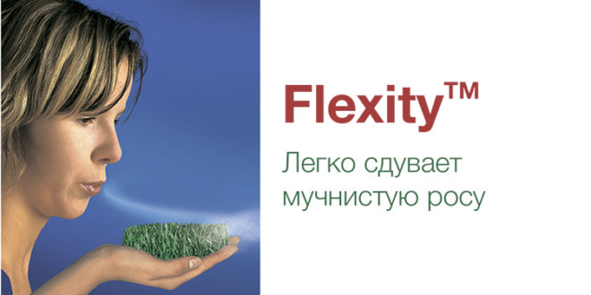 Flexity™ – описание и характеристика продукта