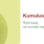 Kumulus™ DF – описание и характеристика продукта