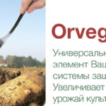 Orvego® – описание и характеристика продукта