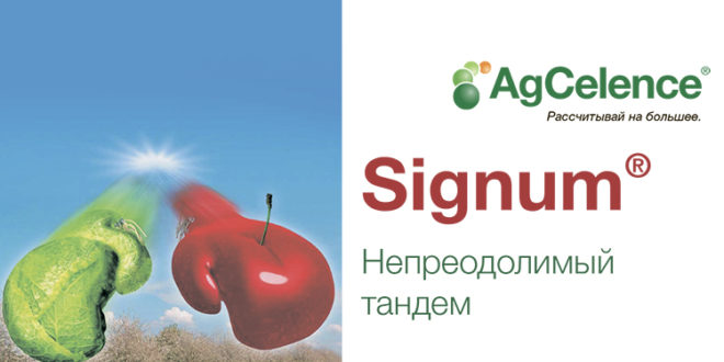 Signum® – описание и характеристика продукта