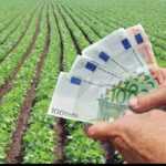 În atenția agricultorilor: AIPA a reluat procesul de achitare a subvențiilor în baza cererilor recepționate în 2022
