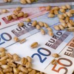 Scade preţul grâului în Europa