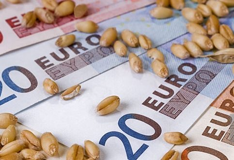 Scade preţul grâului în Europa