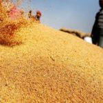 România vinde grâu în Egipt pe bandă rulantă