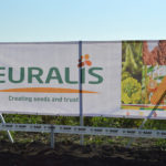 Starea culturilor de porumb și floarea-soarelui în centrul țării. Reportaj foto