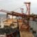 Exporturile de grâu au scăzut cu aproape 60 la sută
