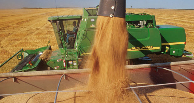 Canada: scădere drastică a stocurilor de grâu