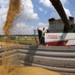 Luptă pe piața mondială a grâului: UE versus Rusia