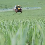 Agricultura fără pesticide: costuri mai mari cu 153% la mere, 80% – la grâu și cu 121% – la porumb