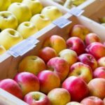 De ce în anul curent au scăzut preţurile la mere?